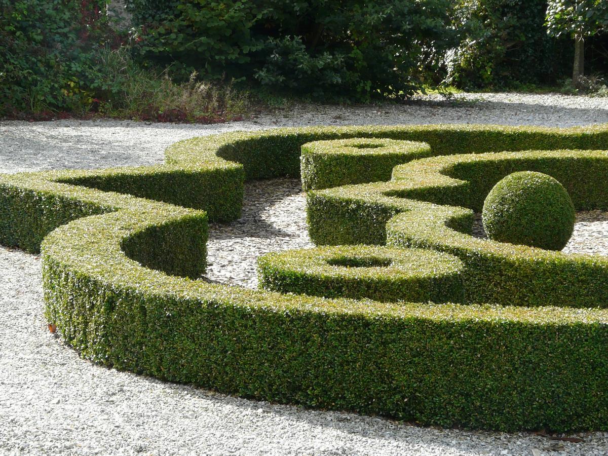 Manoir De Kerledan Hotel Carhaix-Plouguer Buitenkant foto