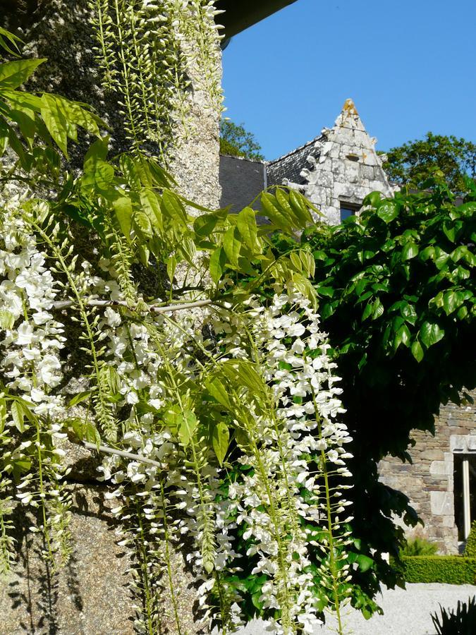 Manoir De Kerledan Hotel Carhaix-Plouguer Buitenkant foto